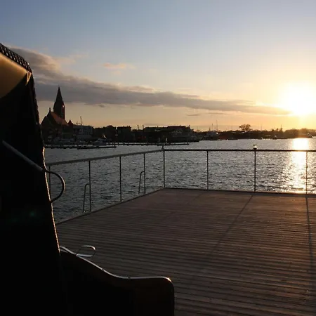 Lewisia * Μπαρθ