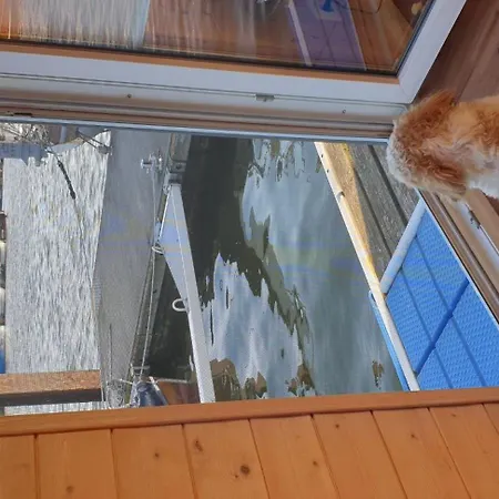 Lewisia * Μπαρθ